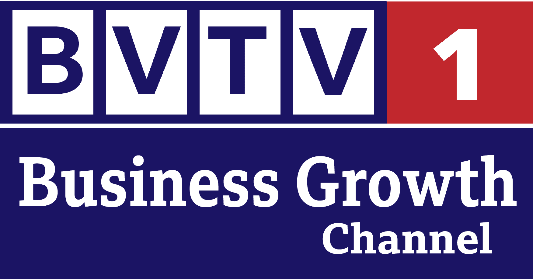 BVTV Business Growth Channel at www.bizvision.co.uk