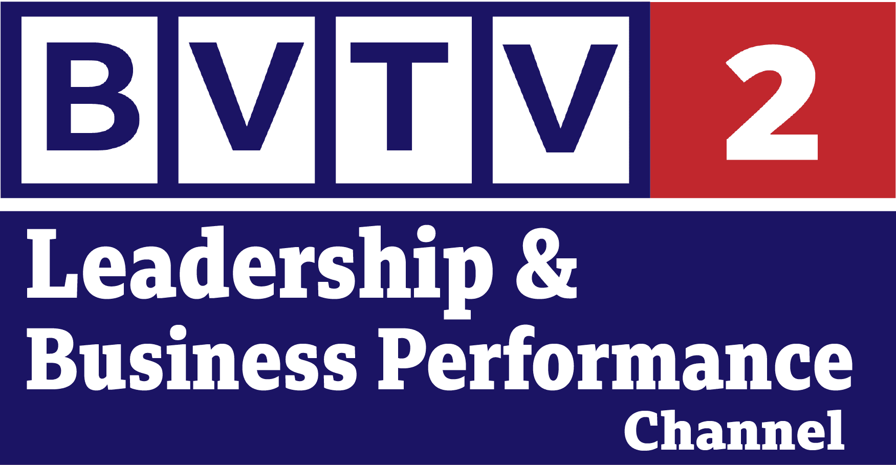 BVTV Leadership & Business Performance Channel at www.bizvision.co.uk